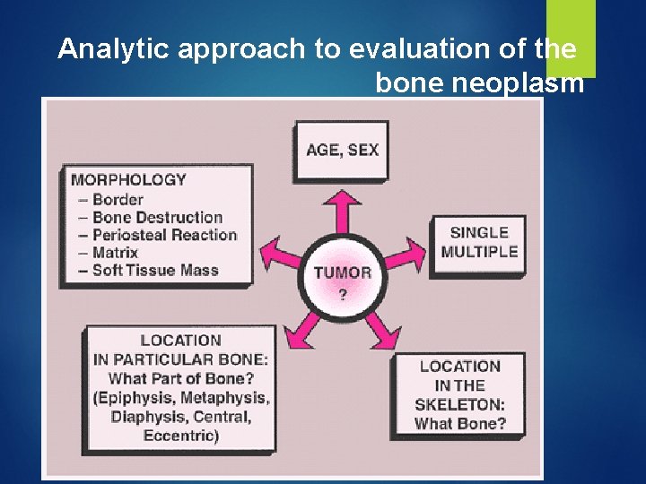 Analytic approach to evaluation of the bone neoplasm 