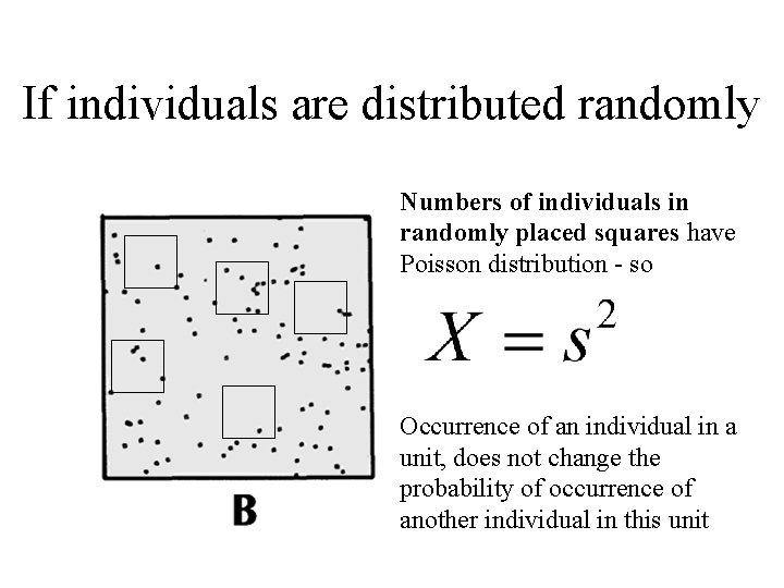 If individuals are distributed randomly Numbers of individuals in randomly placed squares have Poisson