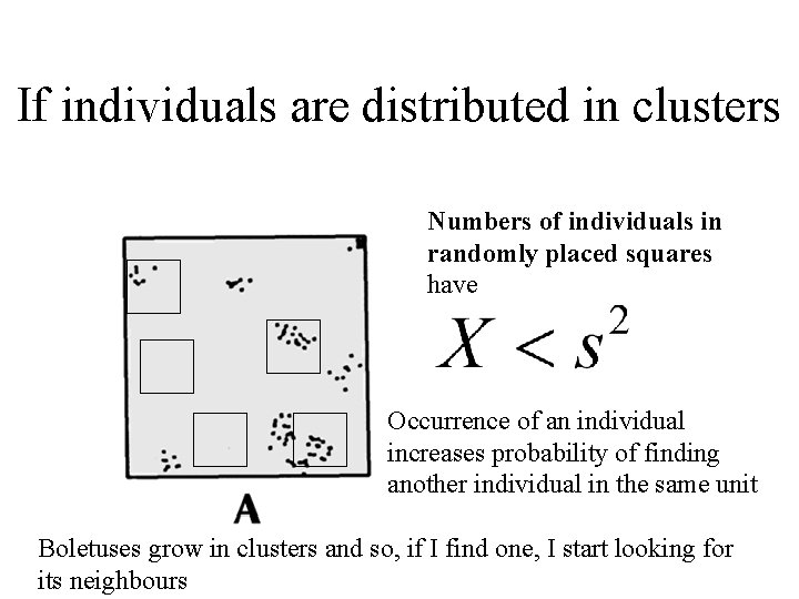 If individuals are distributed in clusters Numbers of individuals in randomly placed squares have