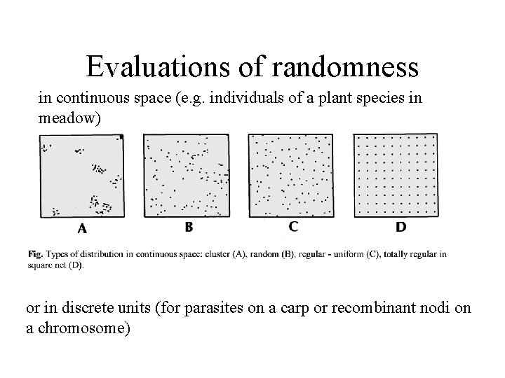 Evaluations of randomness in continuous space (e. g. individuals of a plant species in