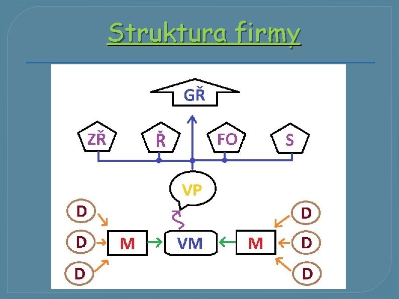 Struktura firmy 