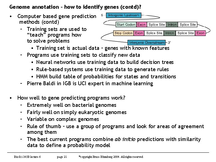 Genome annotation – how to identify genes (contd)? • Computer based gene prediction methods