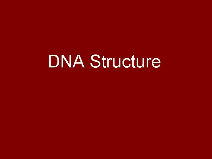 DNA Structure 