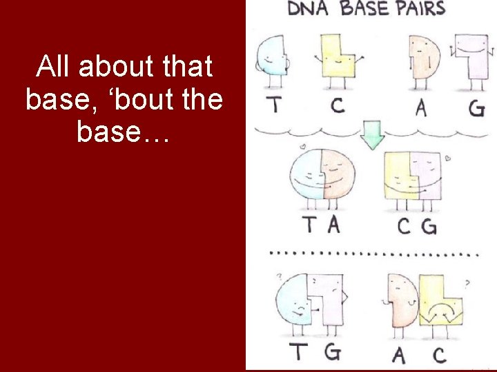 All about that base, ‘bout the base… 