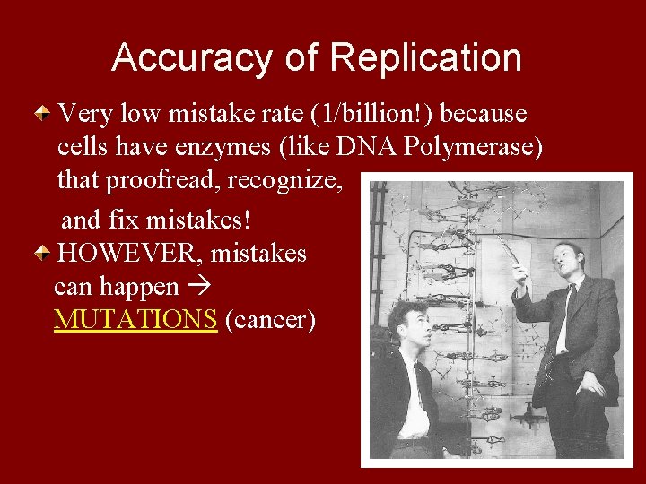 Accuracy of Replication Very low mistake rate (1/billion!) because cells have enzymes (like DNA