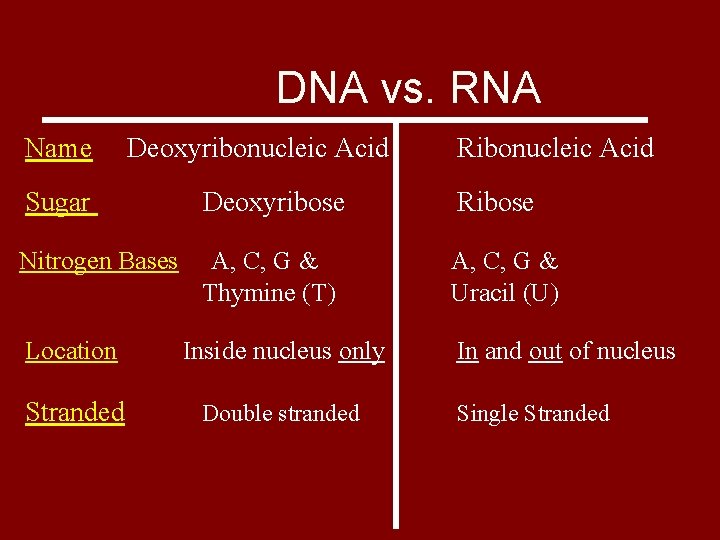 DNA vs. RNA Name Deoxyribonucleic Acid Ribonucleic Acid Sugar Deoxyribose Ribose Nitrogen Bases A,