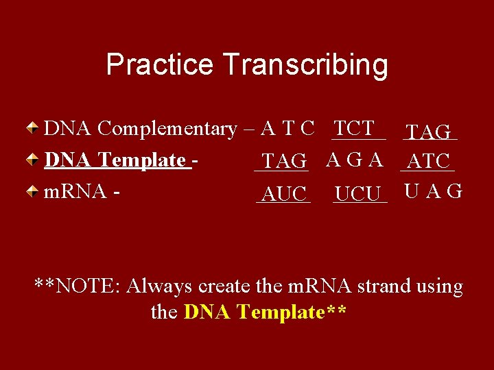 Practice Transcribing DNA Complementary – A T C DNA Template _____ TAG m. RNA