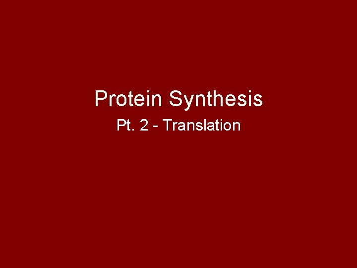 Protein Synthesis Pt. 2 - Translation 
