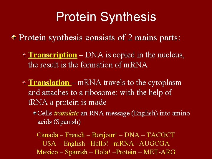 Protein Synthesis Protein synthesis consists of 2 mains parts: Transcription – DNA is copied
