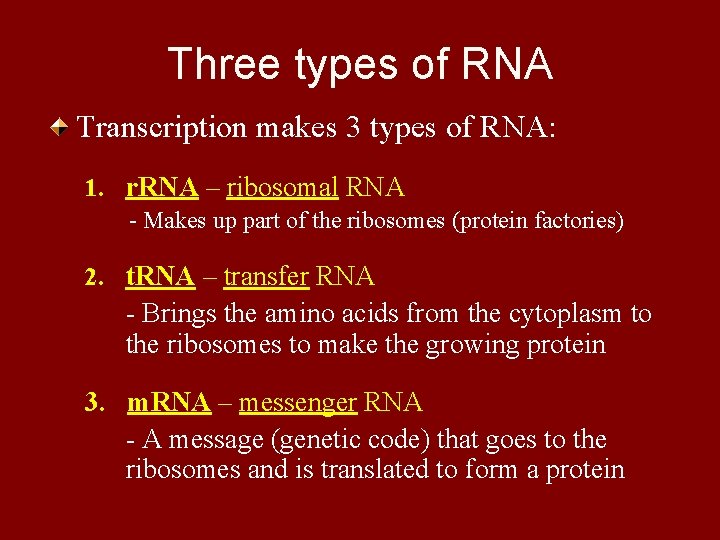 Three types of RNA Transcription makes 3 types of RNA: 1. r. RNA –