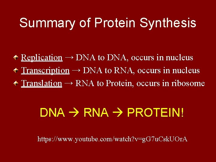 Summary of Protein Synthesis Replication → DNA to DNA, occurs in nucleus Transcription →