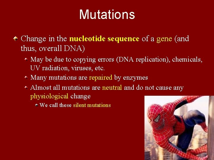 Mutations Change in the nucleotide sequence of a gene (and thus, overall DNA) May