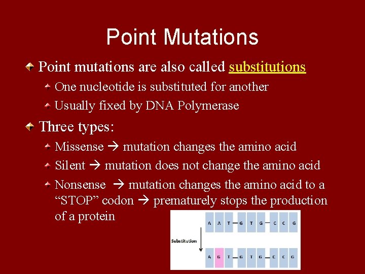 Point Mutations Point mutations are also called substitutions One nucleotide is substituted for another