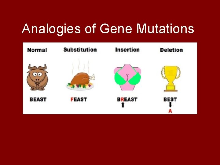 Analogies of Gene Mutations 