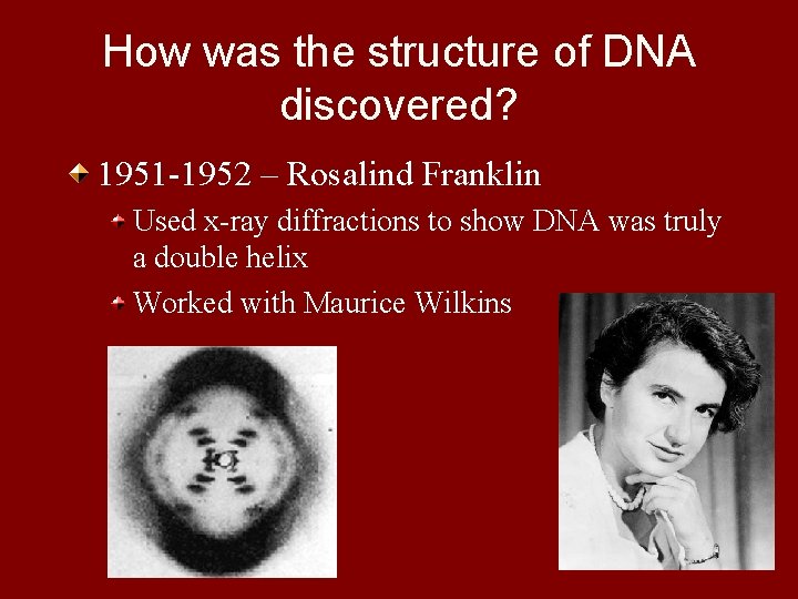 How was the structure of DNA discovered? 1951 -1952 – Rosalind Franklin Used x-ray