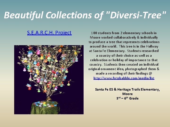 Beautiful Collections of "Diversi-Tree" S. E. A. R. C. H. Project 100 students from