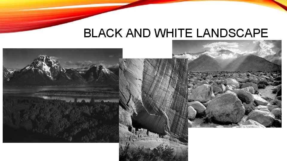 BLACK AND WHITE LANDSCAPE 