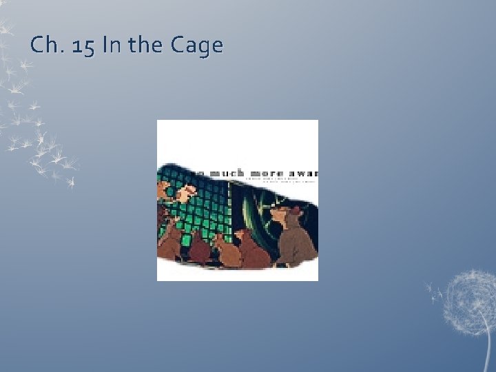 Ch. 15 In the Cage 