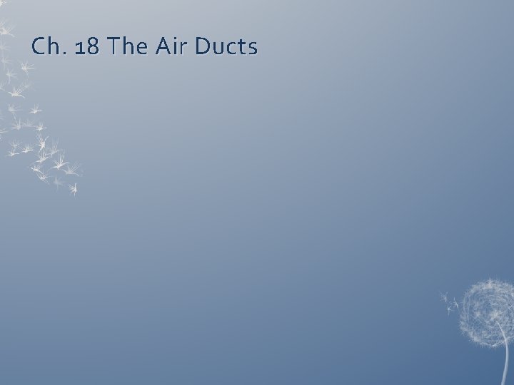Ch. 18 The Air Ducts 