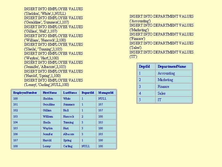 INSERT INTO EMPLOYEE VALUES ('Sheldon', 'White', 1, NULL) INSERT INTO EMPLOYEE VALUES ('Geraldine', 'Summers',