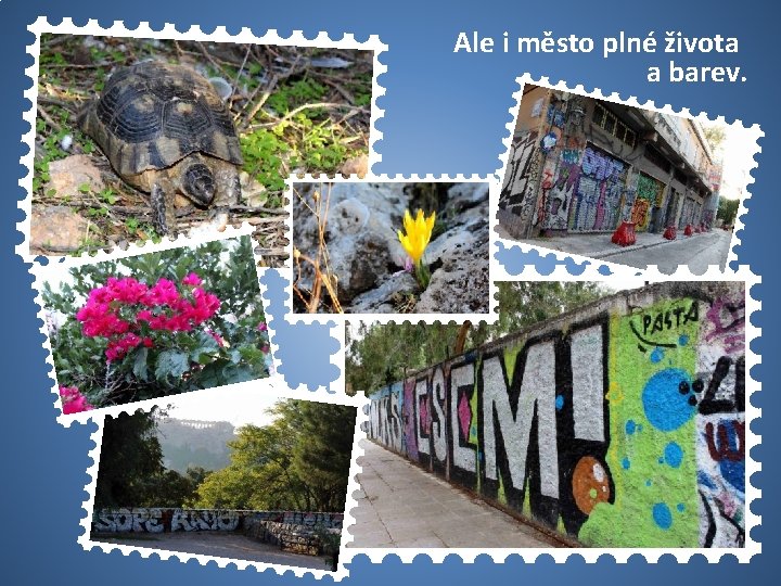 Ale i město plné života a barev. 50 USA 