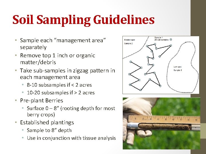 Soil Sampling Guidelines • Sample each “management area” separately • Remove top 1 inch