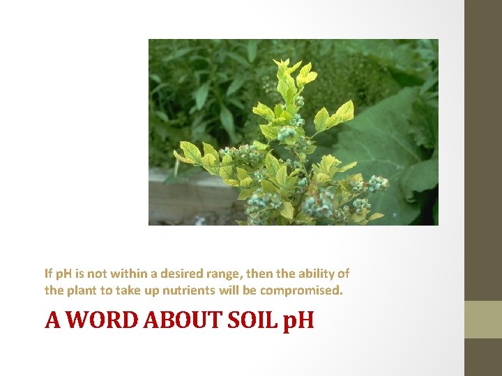 If p. H is not within a desired range, then the ability of the