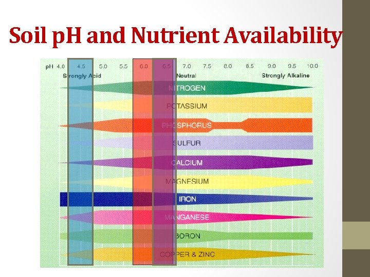 Soil p. H and Nutrient Availability 
