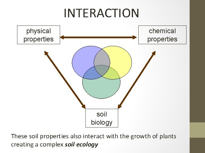 INTERACTION physical properties chemical properties soil biology These soil properties also interact with the