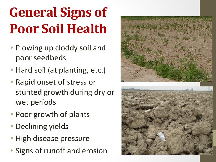 General Signs of Poor Soil Health • Plowing up cloddy soil and poor seedbeds