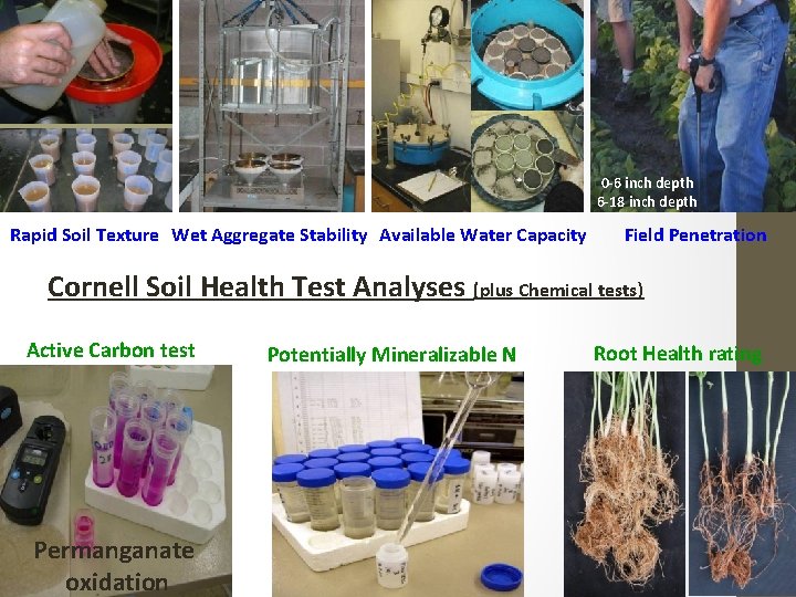 0 -6 inch depth 6 -18 inch depth Rapid Soil Texture Wet Aggregate Stability