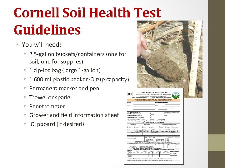 Cornell Soil Health Test Guidelines • You will need: • 2 5 -gallon buckets/containers
