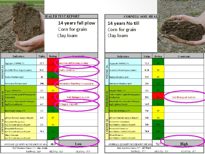 14 years fall plow Corn for grain Clay loam 14 years No till Corn