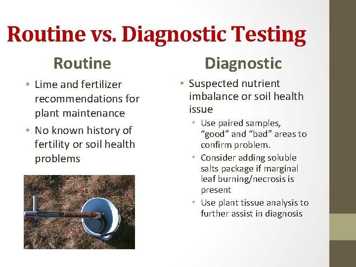 Routine vs. Diagnostic Testing Routine Diagnostic • Lime and fertilizer recommendations for plant maintenance