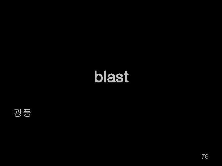 blast 광풍 78 