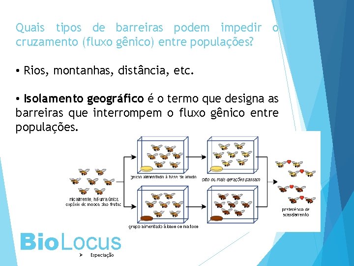 Quais tipos de barreiras podem impedir o cruzamento (fluxo gênico) entre populações? • Rios,