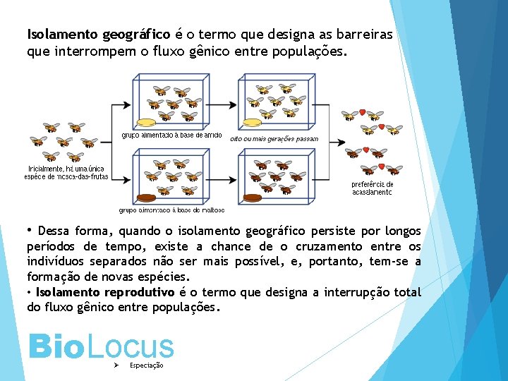 Isolamento geográfico é o termo que designa as barreiras que interrompem o fluxo gênico