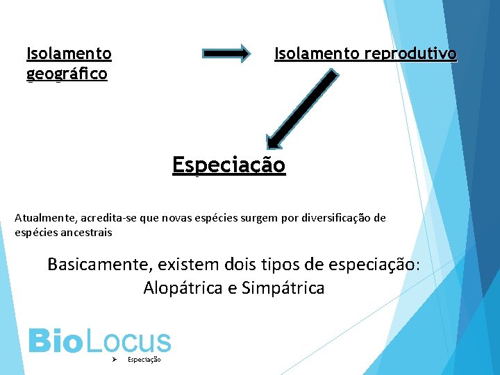 Isolamento geográfico Isolamento reprodutivo Especiação Atualmente, acredita-se que novas espécies surgem por diversificação de