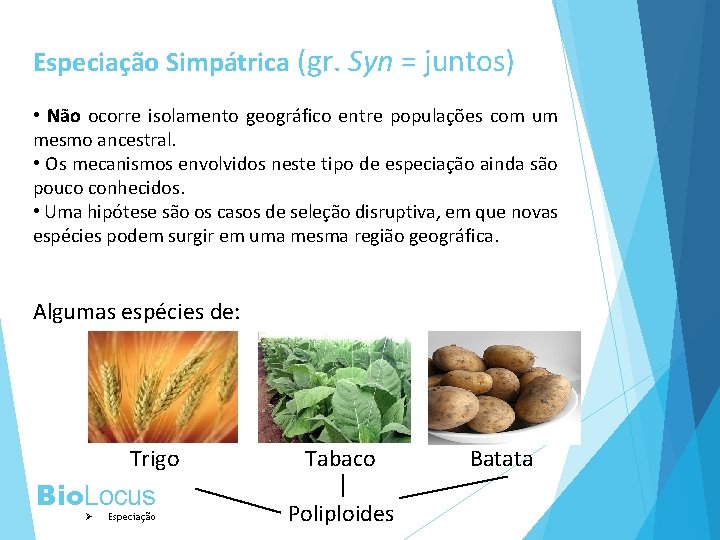 Especiação Simpátrica (gr. Syn = juntos) • Não ocorre isolamento geográfico entre populações com