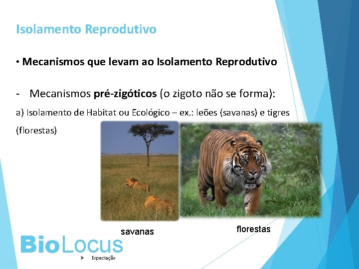 Isolamento Reprodutivo • Mecanismos que levam ao Isolamento Reprodutivo - Mecanismos pré-zigóticos (o zigoto