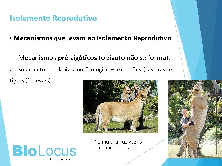 Isolamento Reprodutivo • Mecanismos que levam ao Isolamento Reprodutivo - Mecanismos pré-zigóticos (o zigoto