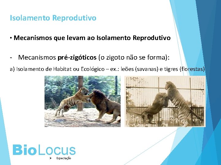 Isolamento Reprodutivo • Mecanismos que levam ao Isolamento Reprodutivo - Mecanismos pré-zigóticos (o zigoto