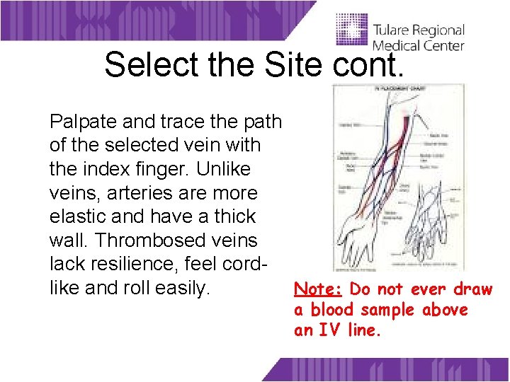 Select the Site cont. Palpate and trace the path of the selected vein with