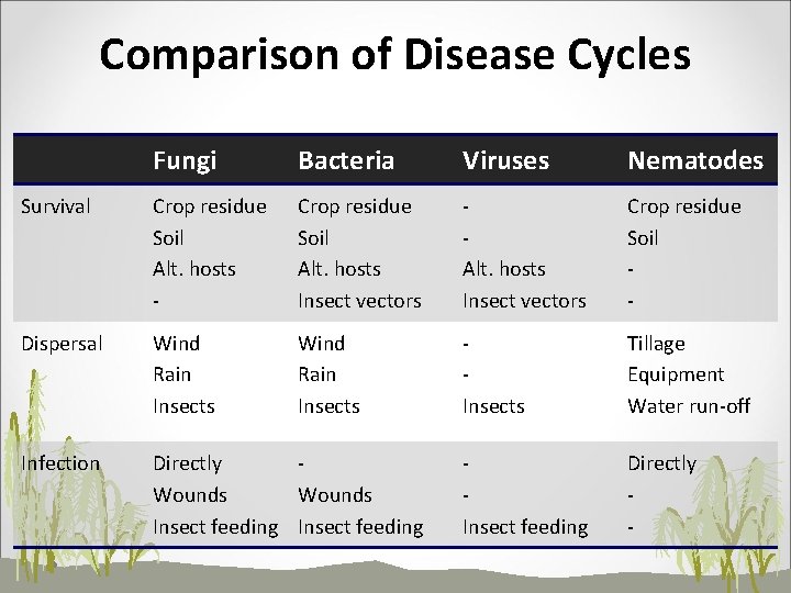 Comparison of Disease Cycles Fungi Bacteria Viruses Nematodes Survival Crop residue Soil Alt. hosts