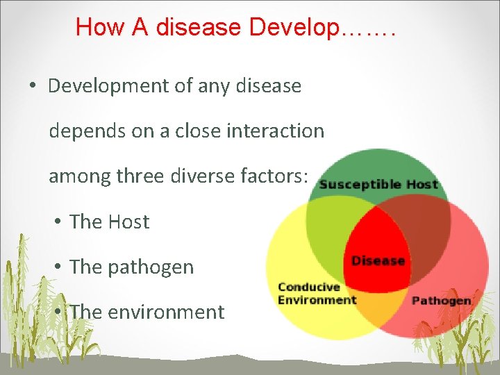 How A disease Develop……. • Development of any disease depends on a close interaction