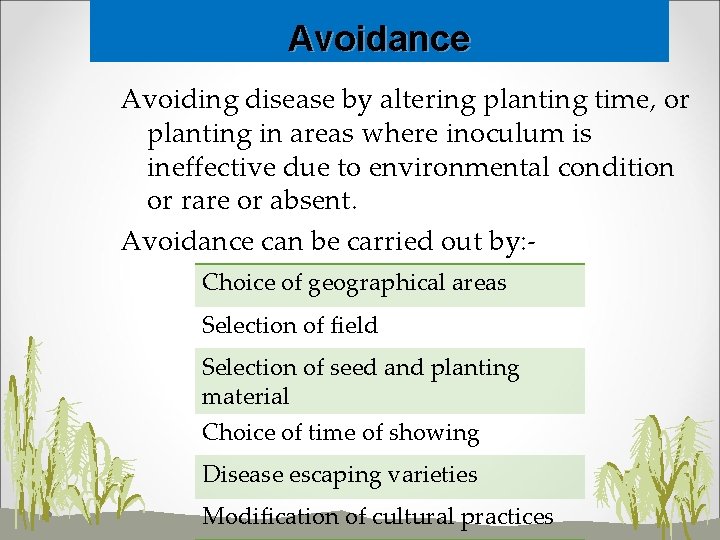 Avoidance Avoiding disease by altering planting time, or planting in areas where inoculum is