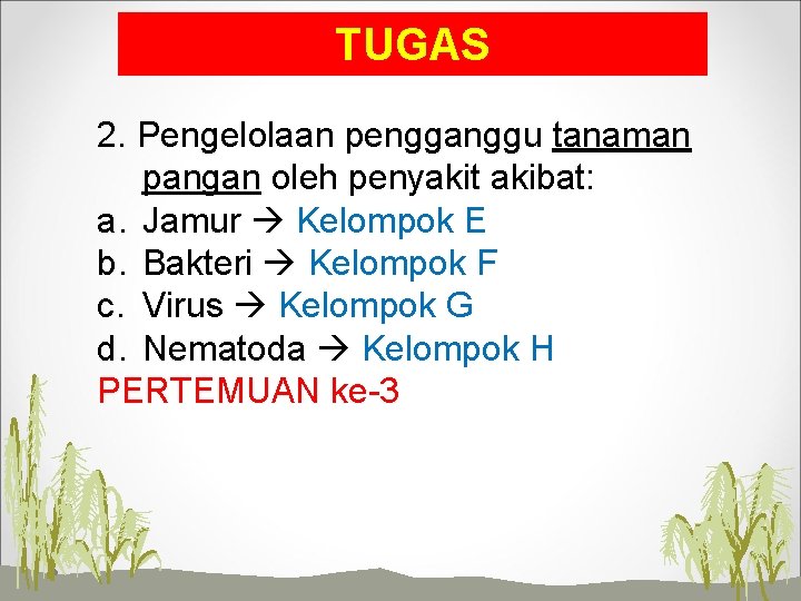 TUGAS 2. Pengelolaan pengganggu tanaman pangan oleh penyakit akibat: a. Jamur Kelompok E b.