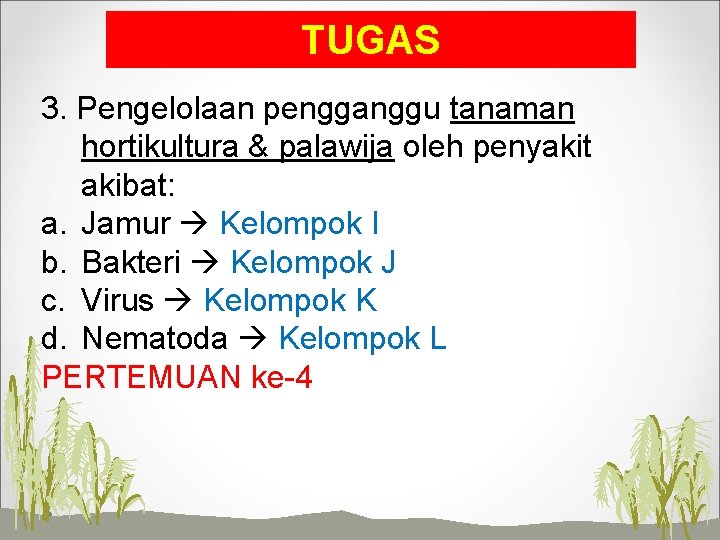 TUGAS 3. Pengelolaan pengganggu tanaman hortikultura & palawija oleh penyakit akibat: a. Jamur Kelompok