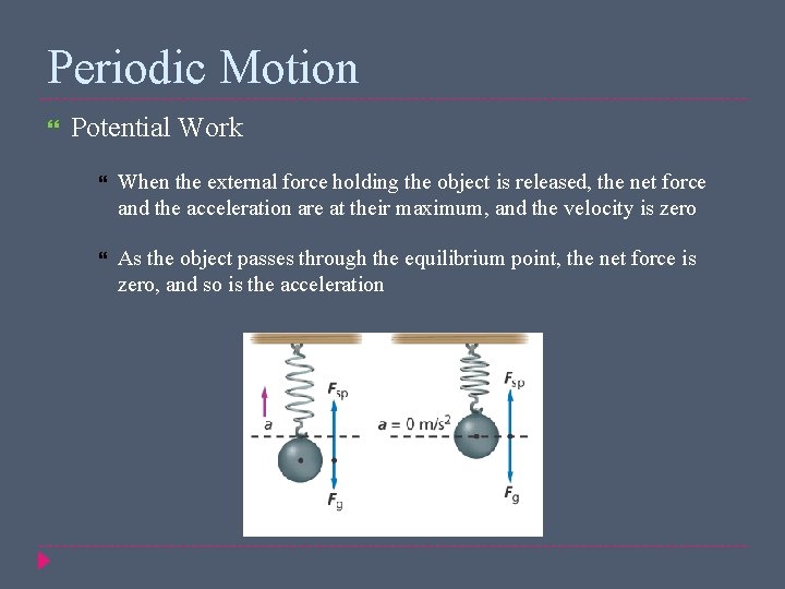 Periodic Motion Potential Work When the external force holding the object is released, the