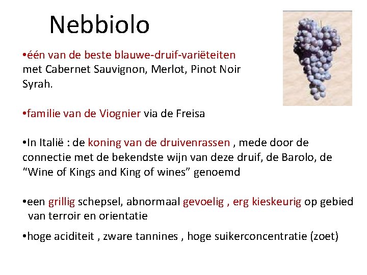 Nebbiolo • één van de beste blauwe-druif-variëteiten met Cabernet Sauvignon, Merlot, Pinot Noir Syrah.